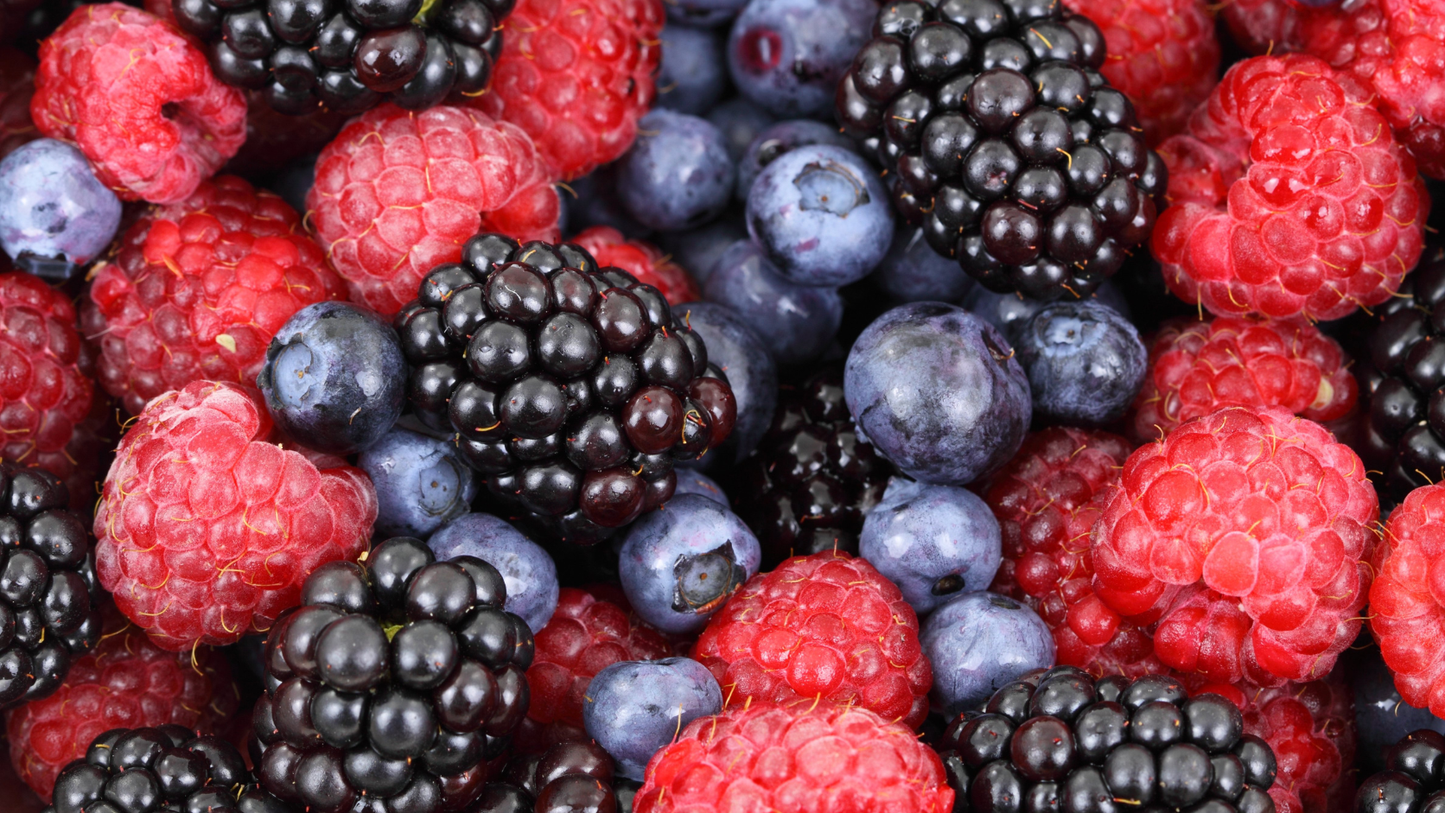 Antioxidantien und Schutz der Zellen