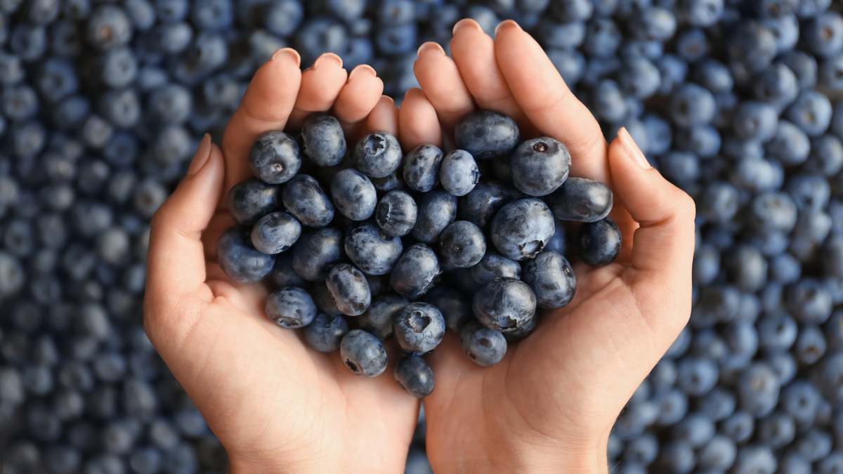 Heidelbeeren & Ballaststoffe: Wie viel steckt in 100 g?
