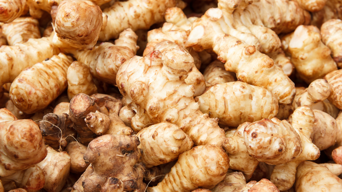 Inulin – Was ist das?
