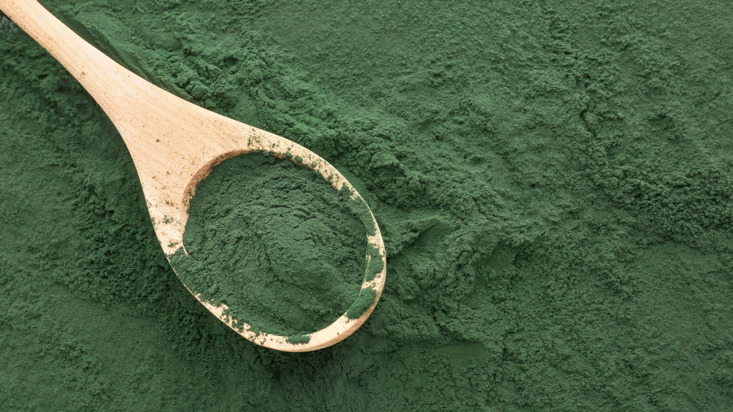 Spirulina - Grün-blaues Nahrungsmittel der Zukunft oder Mythos