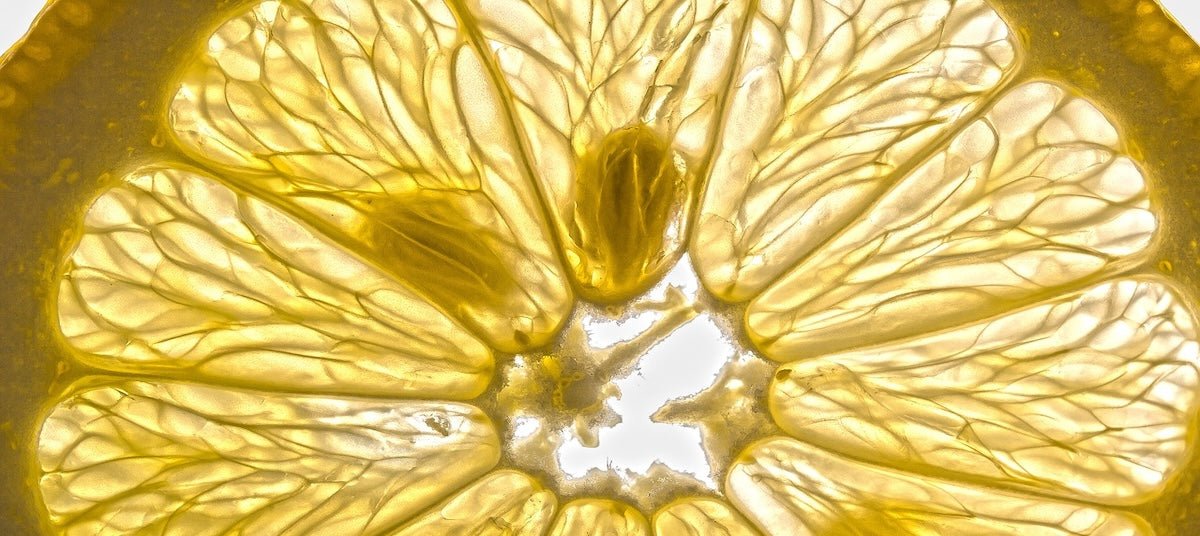 Makroaufnahme einer Zitronenscheibe mit goldgelbem Licht.